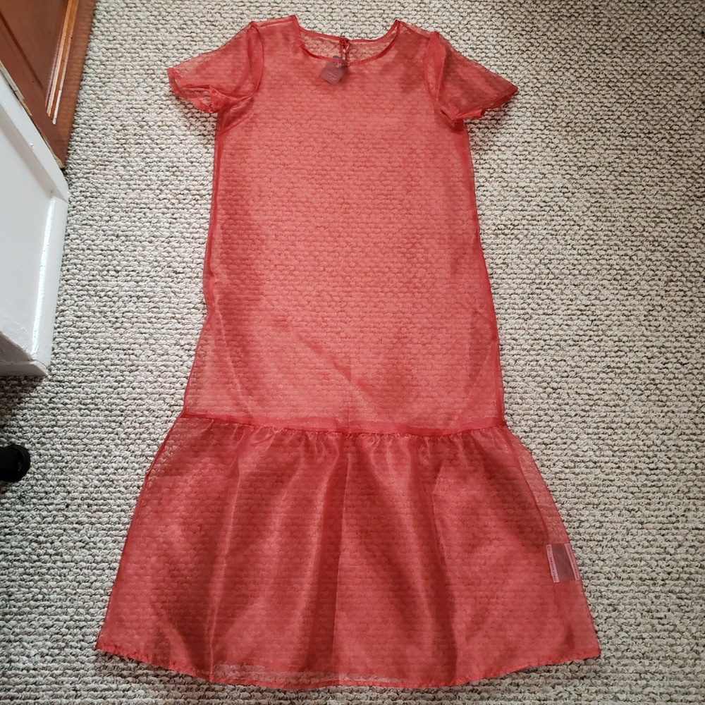 Urban Outfitters Red Sheer Dress